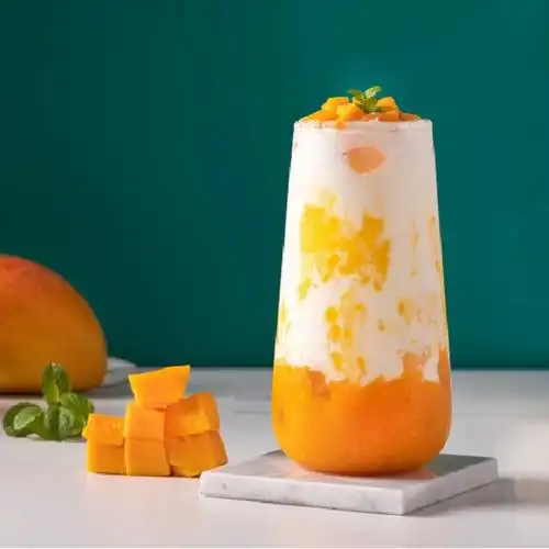 享禾浓缩益生发酵原味酸奶酪饮品甜品材料奶茶含乳饮料