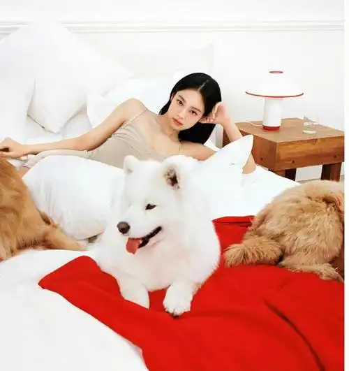 红裙娇艳欲滴jennie与不同的宠物狗合照造型独特