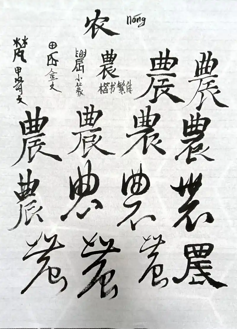 晨练.农:甲骨文的"农"字上面是树林的"林"字,下面是一个蜃 - 抖音