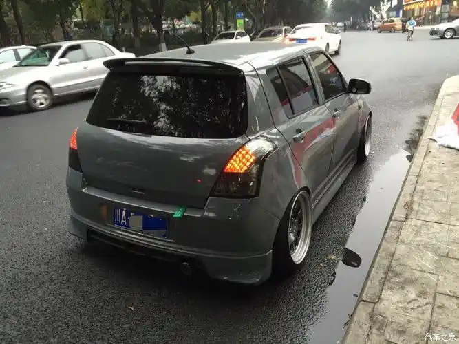 雨燕什么颜色好看?