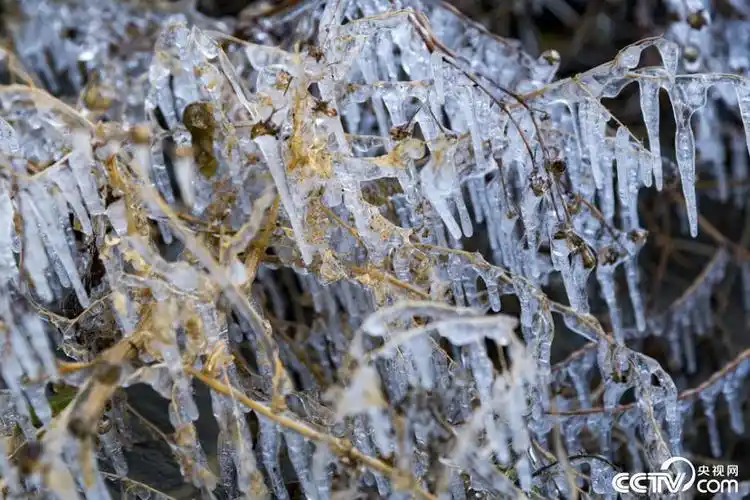 北京大风刮来速冻模式颐和园昆明湖出现结冰现象