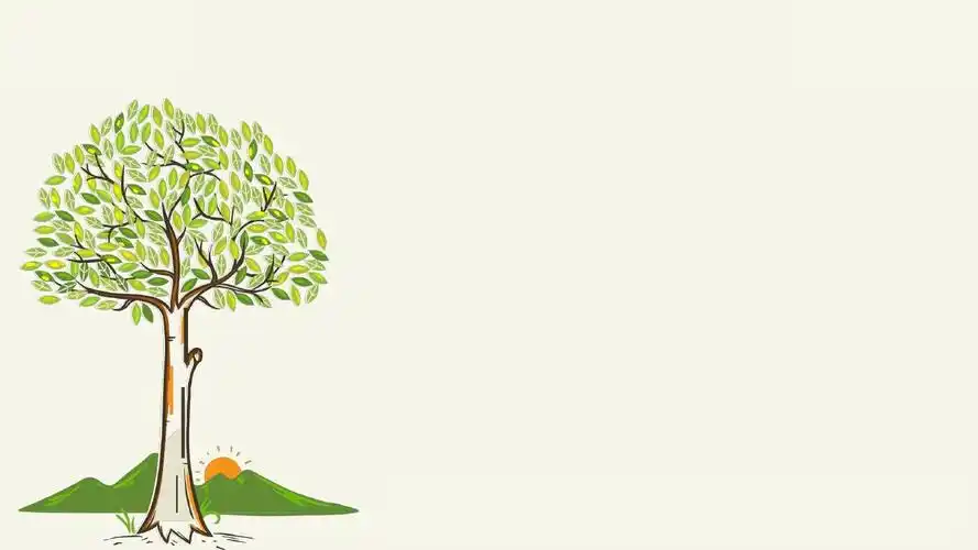 《大象的耳朵》课件ppt