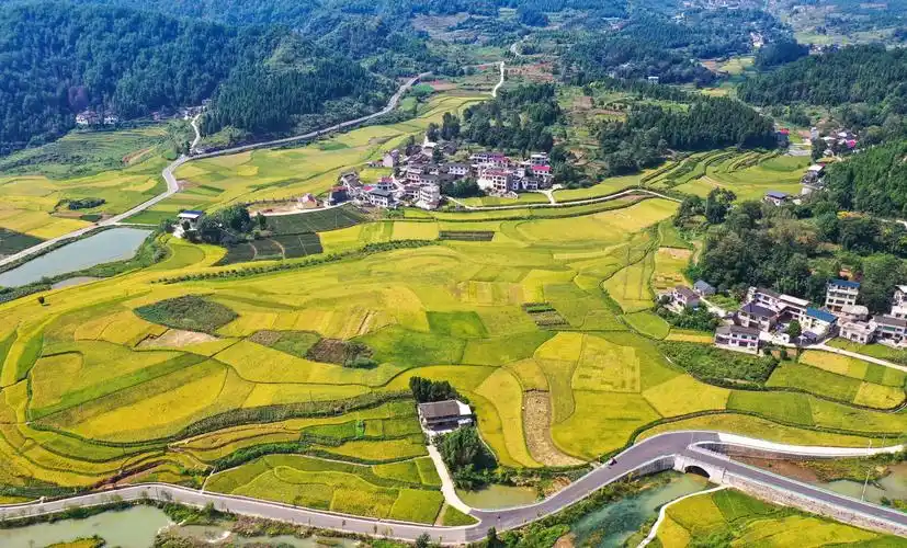 铜仁市巩固拓展脱贫攻坚成果同乡村振兴有效衔接-贵阳网