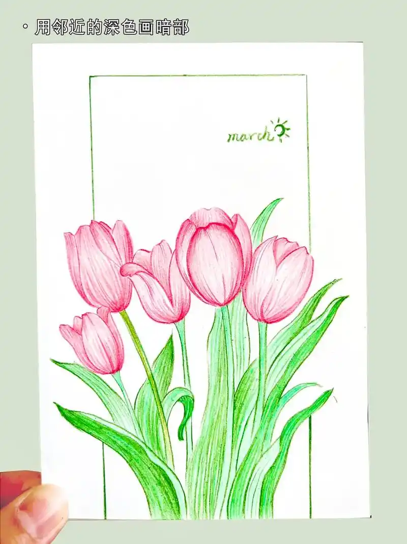 郁金香彩铅教程,春天怎么能少的了郁金香呢.半小时速画,大家快 - 抖音