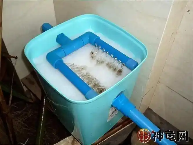 龟池缺个过滤系统推荐2款简单的自制滤水装置