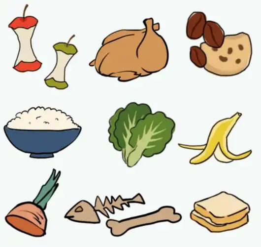 垃圾主要分为  厨余垃圾,可回收物  有害垃圾和其他垃圾四类  厨余