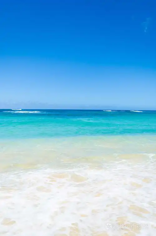 海洋和热带沙滩背景