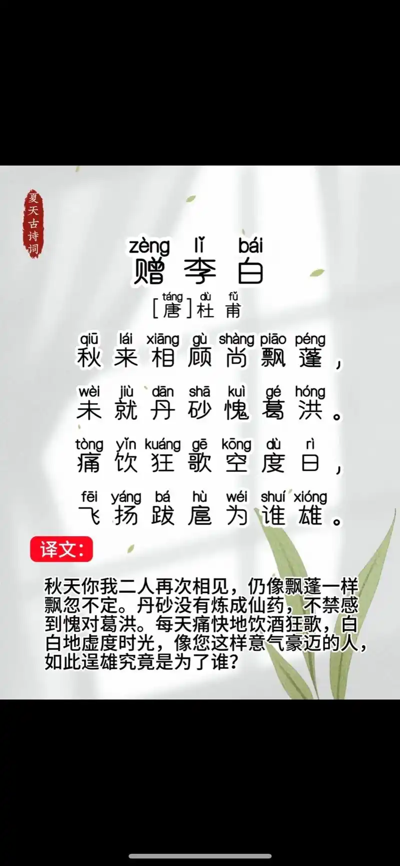 《赠李白》唐·杜甫,带拼音译文#古诗词 #国学文化 #李白 - 抖音