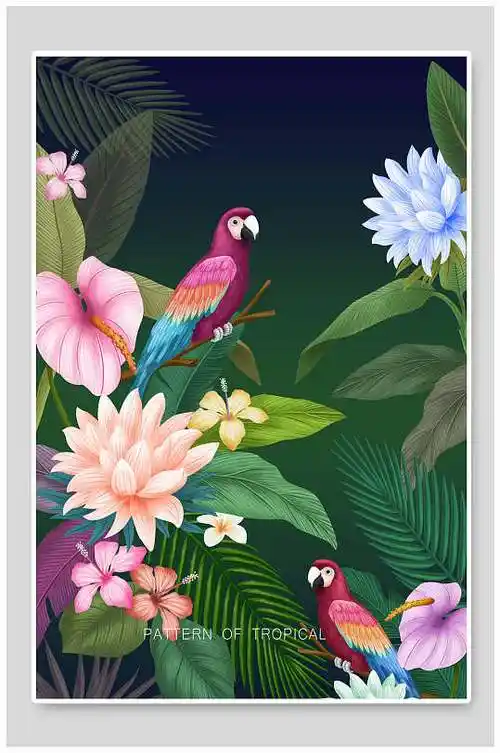 简约高端儿童热带雨林插画