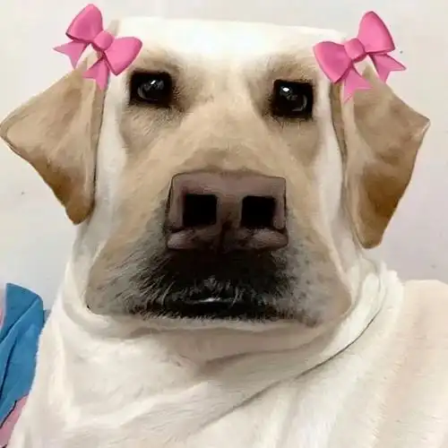 有没有一些搞怪无厘头的情侣头像