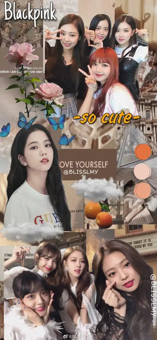 blackpink 壁纸背景图