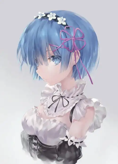 雷姆壁纸系列-第10期-搜狐大视野-搜狐新闻