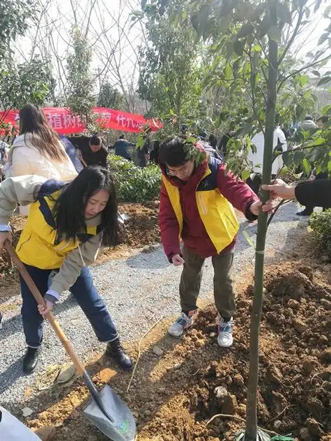 携手植绿点翠南山镇江体彩开展微光行动之植树造林活动