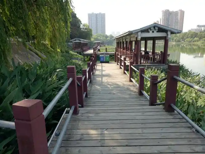 九江南湖公园掠影