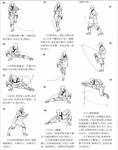 少林秘传小罗汉拳下