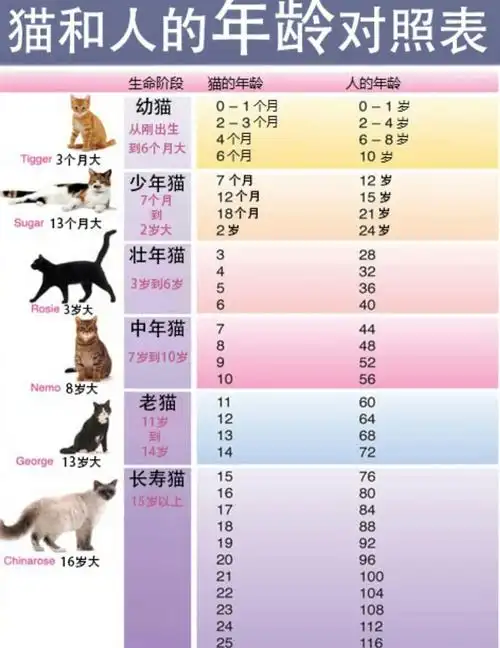 刚抽的～太特么真实了.