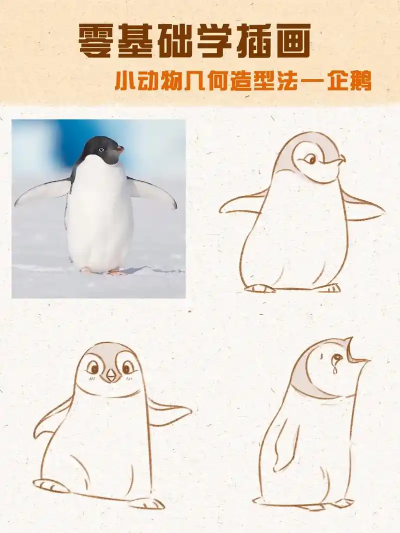 零基础动物插画教程,q萌小企鹅,快动起画笔啦～#画画 #插画 - 抖音