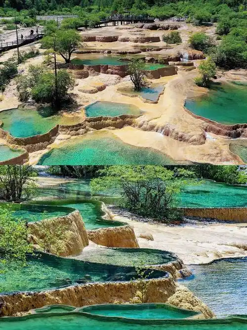 四川成都都江堰旅游四天三晚多少钱?黄龙4日游人均价格是多少?