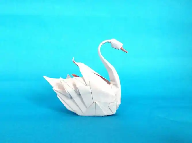 现代折纸欣赏白天鹅