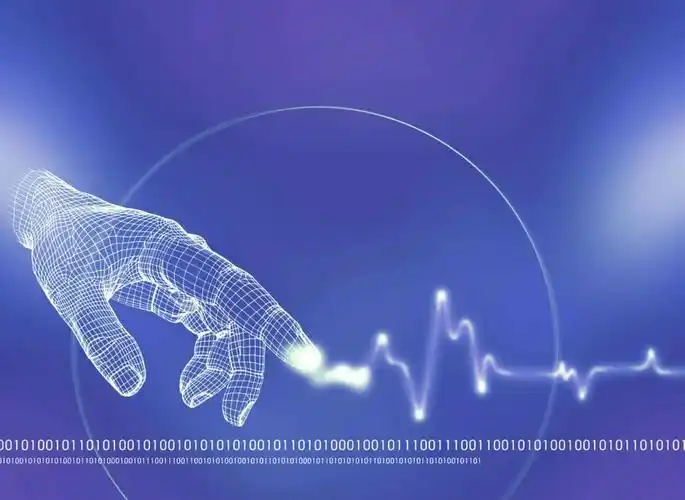 it产业中一颗闪亮的星★()——软件技术