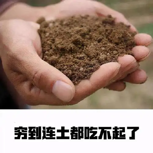 我不后悔,土真好吃,吃土中,花式吃土,其实吃土很