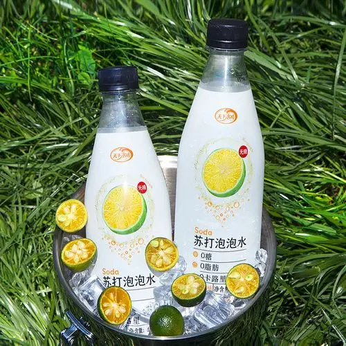 天下水坊卡曼橘味苏打气泡水0脂气泡苏打水无糖饮料450ml12瓶