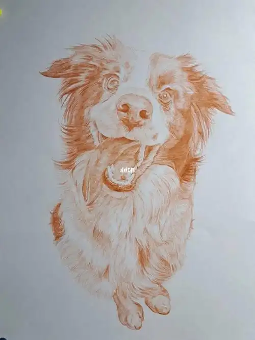 谁家的小狗狗.彩铅新尝试,起稿完成.