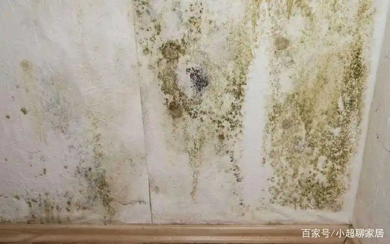 卧室墙面发霉还能睡吗?卧室墙面为什么发霉?