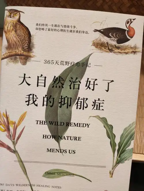 大自然治好了我的抑郁症