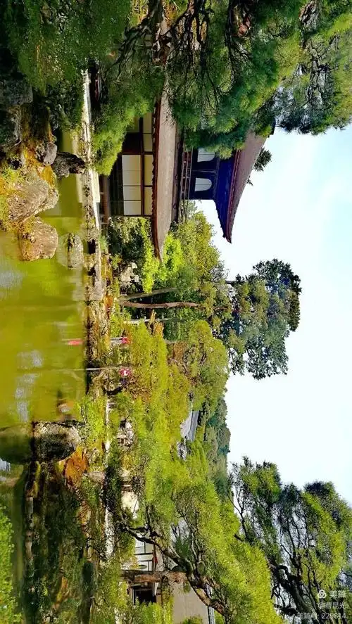 京都游(三)金阁,银阁寺哲学σ道