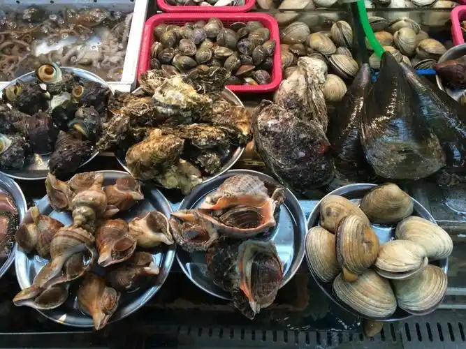 深圳代理清关进出口冷冻类海鲜