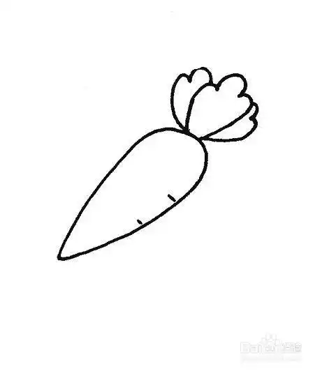 胡萝卜的简笔画