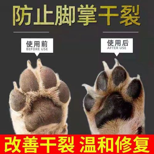狗狗润脚膏狗爪子干裂脱皮幼狗脚垫护理狗狗护脚霜宠物狗用品大全