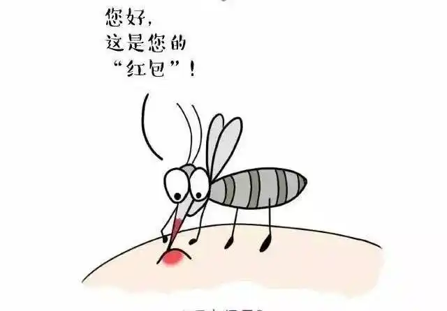 蚊子叮咬之后,有人出现"红包",有人却出现了红点,这是为何?