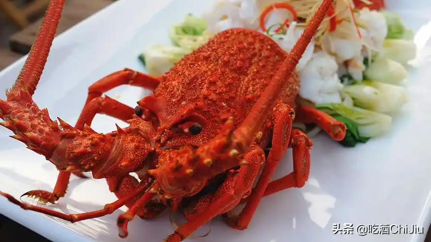 奥龙虾多少钱一只澳洲龙虾