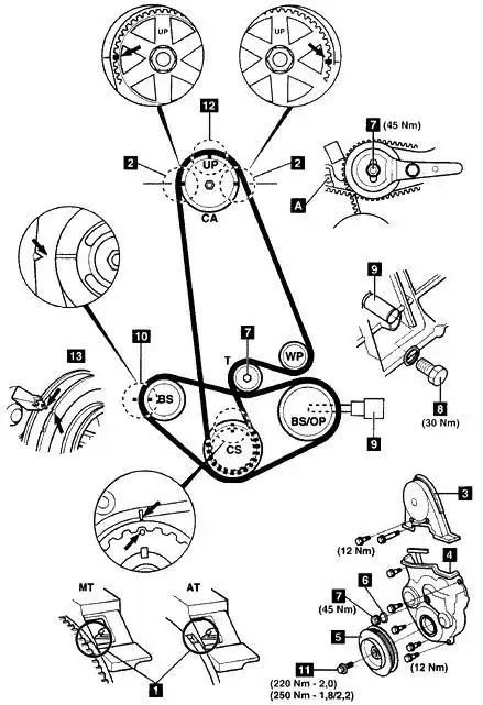 本田雅阁2.4vvt正时图