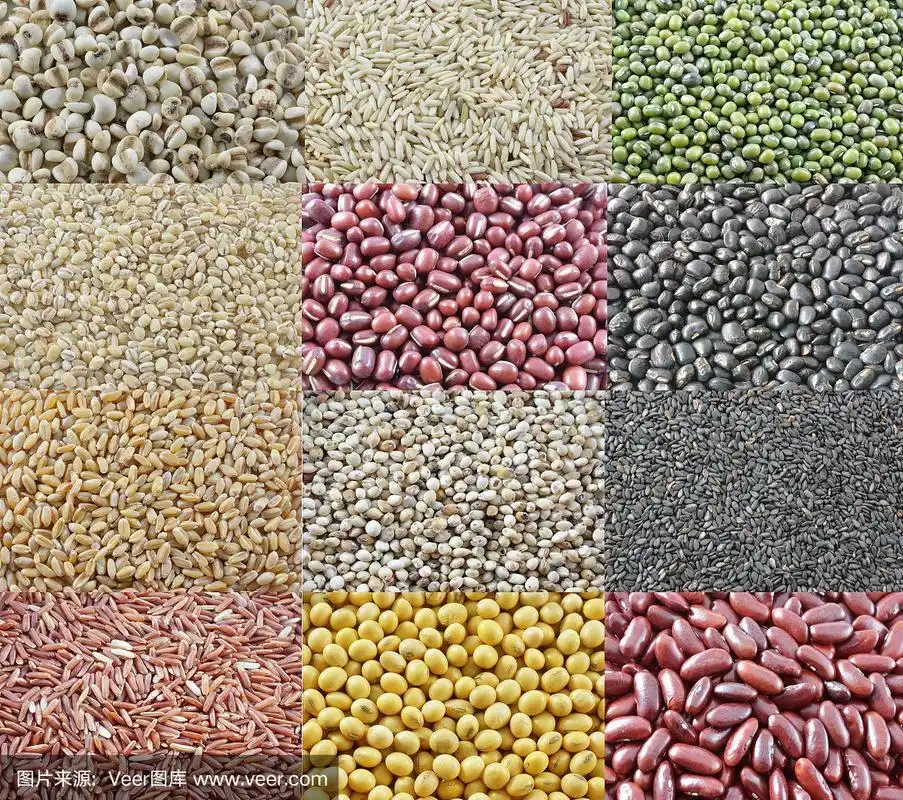不同种类的豆子