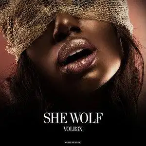 she wolf (original mix) - volb3x - qq音乐-千万正版音乐海量无损曲
