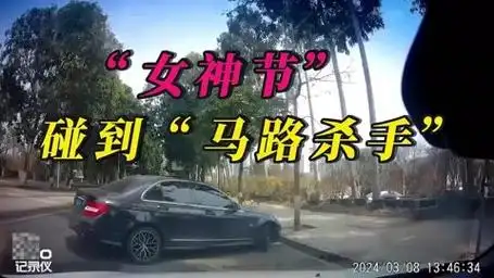 "女神节"偶遇"马路杀手"?女司机惊现神操作!