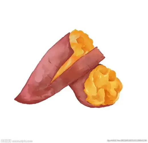 手绘红薯插画素材