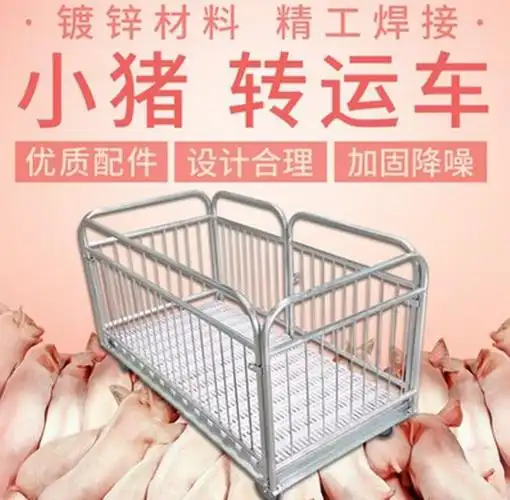 首页 下载app                          卖猪笼子 猪用装猪笼 仔猪