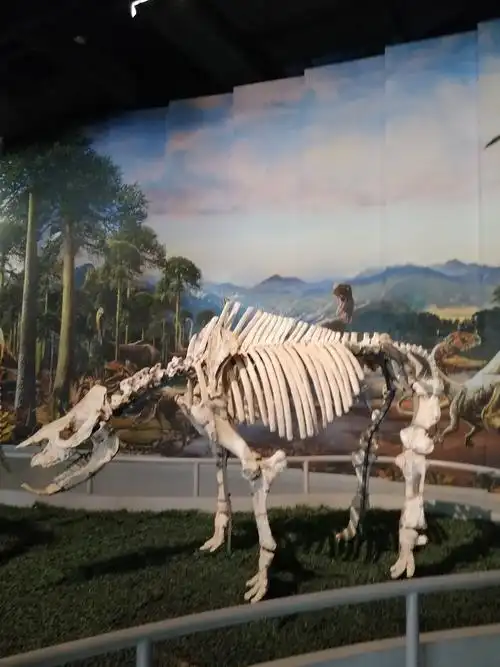 参观山西地质博物馆