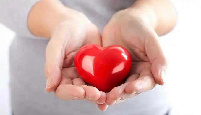 热忱欢迎你的孩子来到我们张公山第二幼儿园,我们将用双手托起明天的