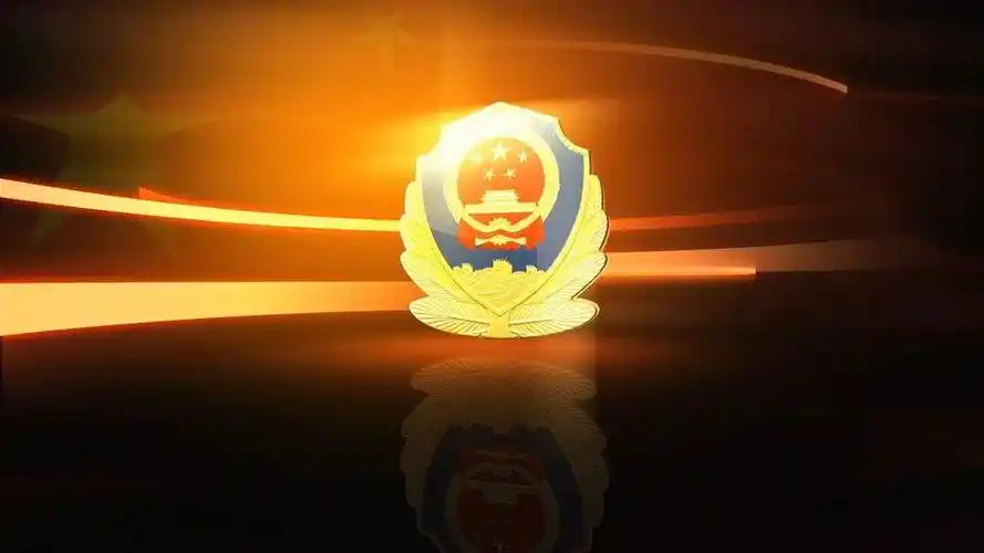 党政类政府机关部门公安警徽警察标志恢弘大气片头