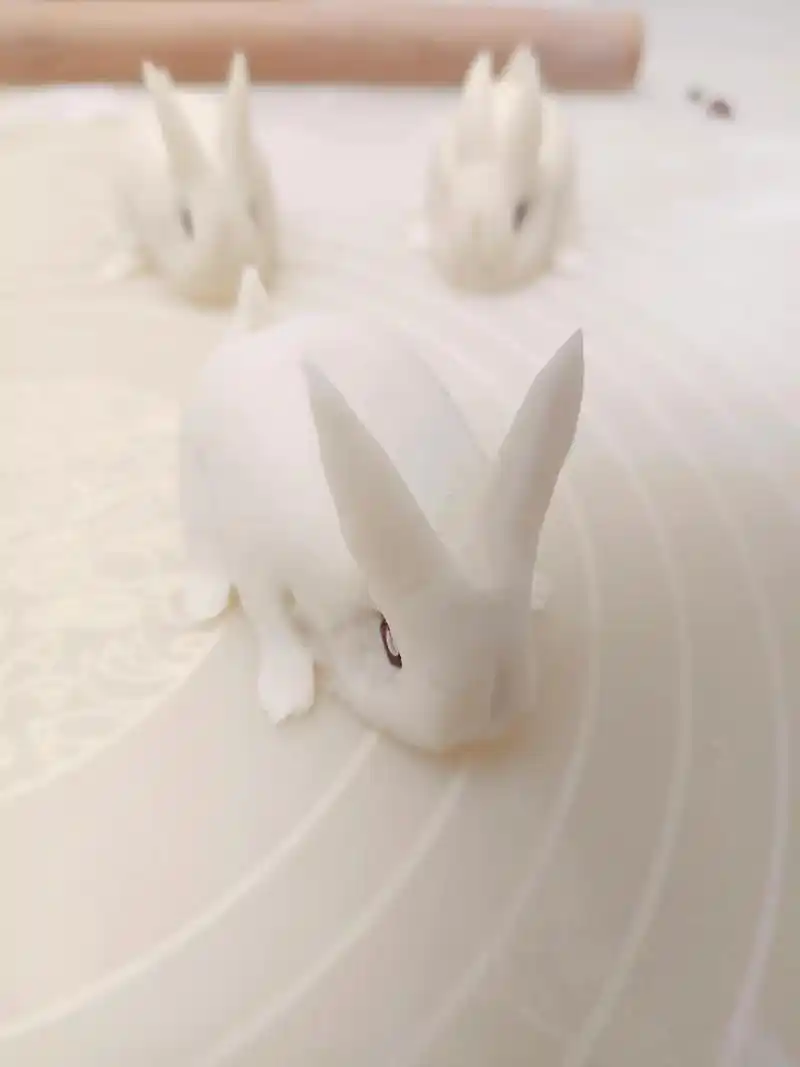 捏个玉兔过新年##小白兔馒头  #新年第一个兔子手工 #迎接 - 抖音