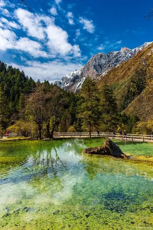 黄龙海拔高度是多少米