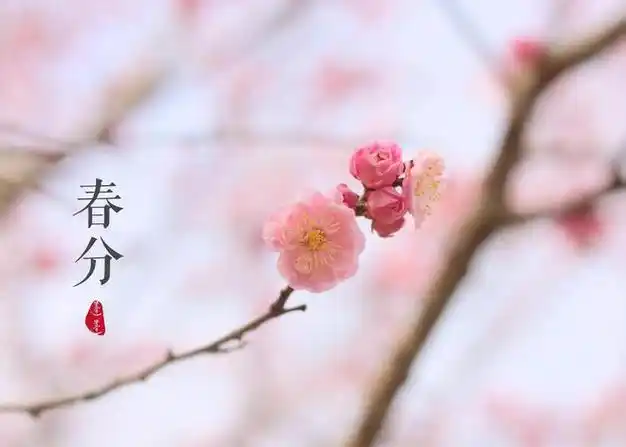 网易首页>网易号>正文申请入驻> 春分时节,草长莺飞,春的气息,已经