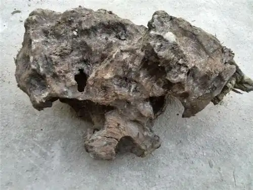 青冈木阴沉木一斤多少元 哪里回收乌木