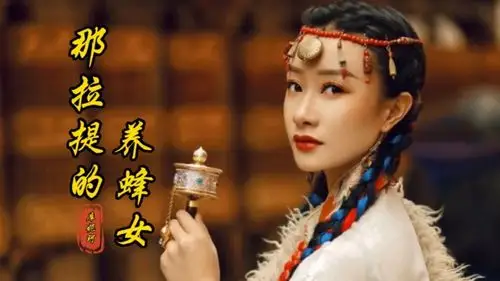 可可托海牧羊人之后那拉提的养蜂女回应了背后故事凄美感人