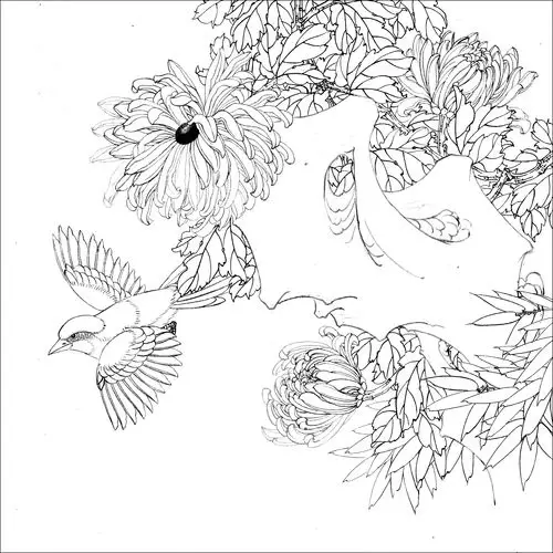 工笔花鸟白描难得一见的好资料高清晰